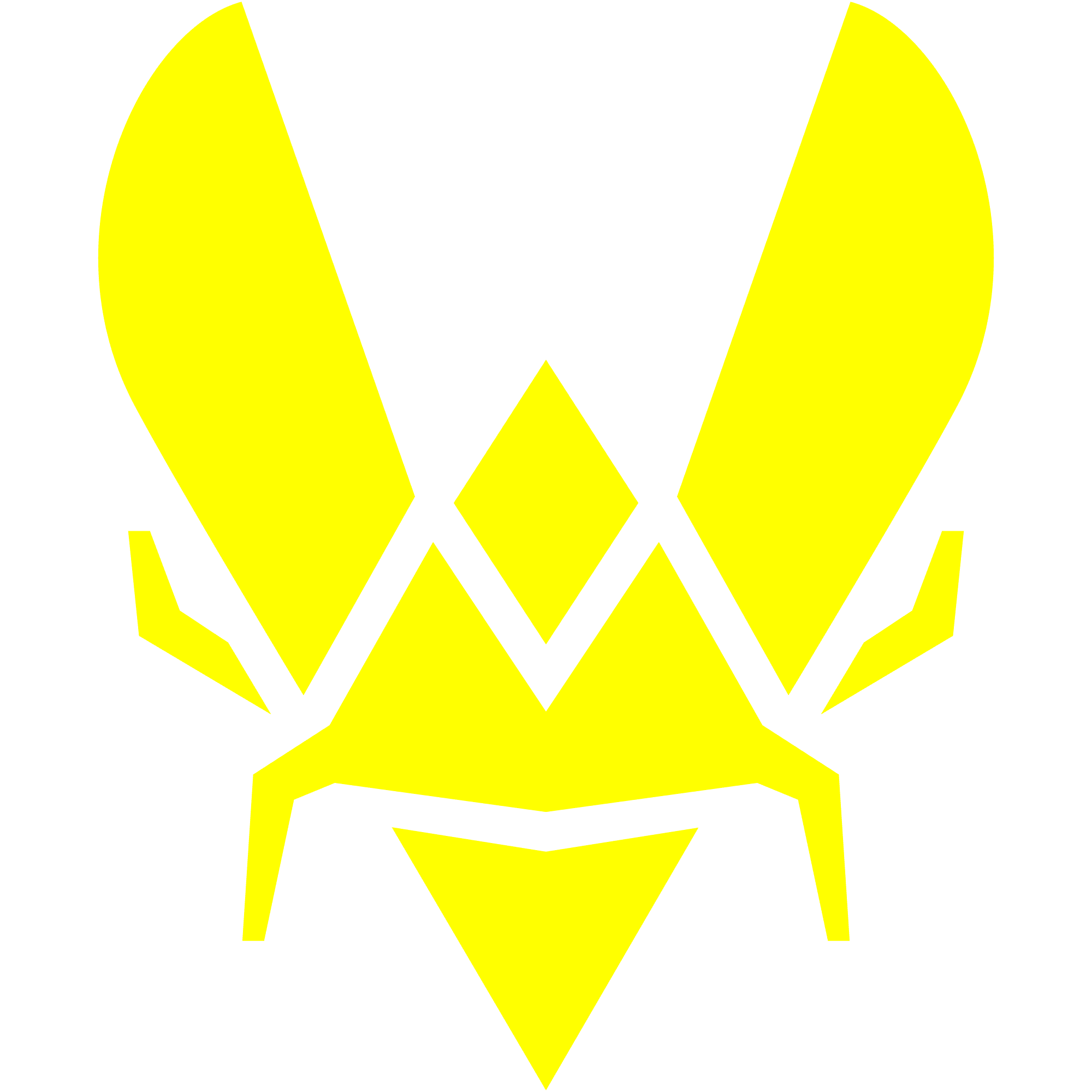 Team Vitality
