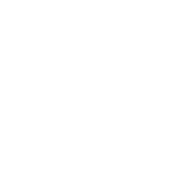 Team Secret Whales